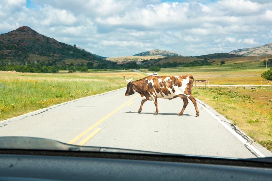 driving on Oklahoma highway between Wagoner and Coweta area