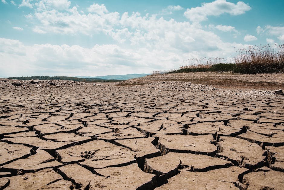 Extreme heat conditions similar to Oklahoma summers