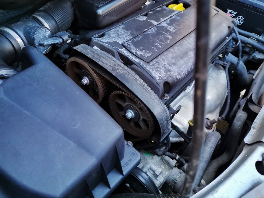 Honda timing belt inspection close-up