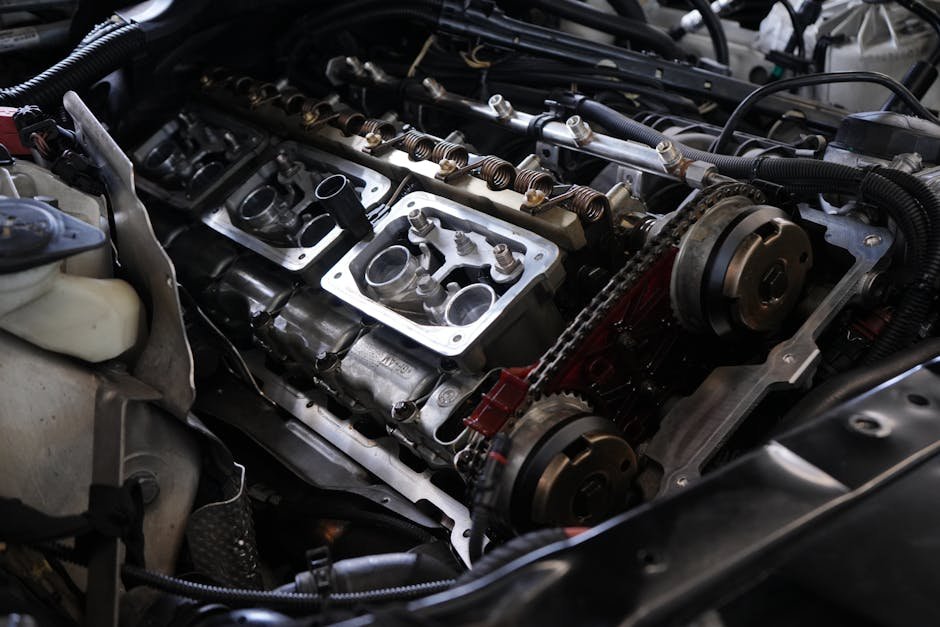 Toyota timing chain vs timing belt guide